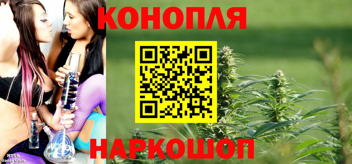 МАРИХУАНА сатива Геленджик